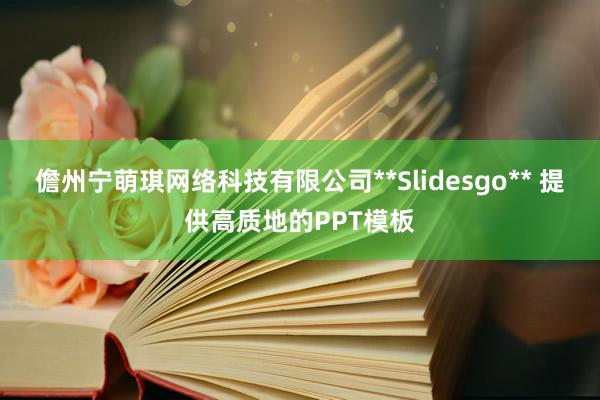 儋州宁萌琪网络科技有限公司**Slidesgo** 提供高质地的PPT模板