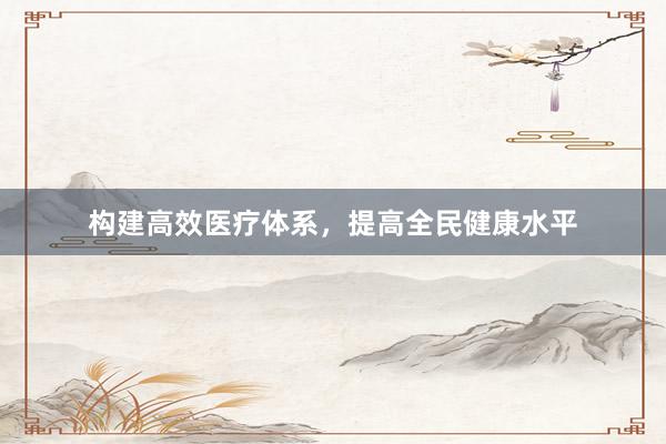构建高效医疗体系，提高全民健康水平