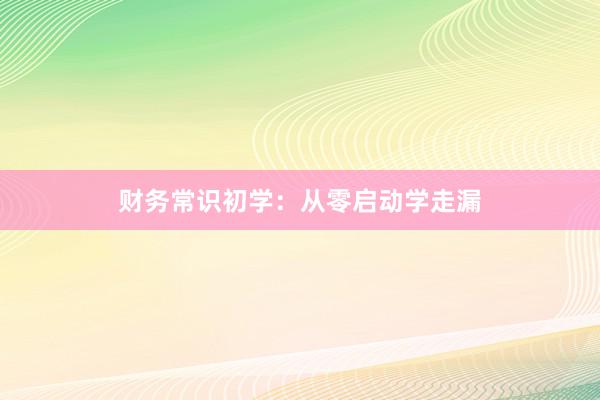 财务常识初学：从零启动学走漏
